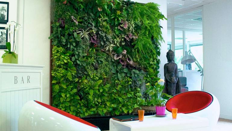 Quel est l’intérêt d’un mur végétal intérieur ?